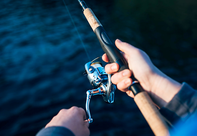 Fishing Reel Types 101: A Beginner's Guide to Reels (2024)