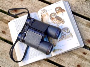 Birdwatching hobby tips