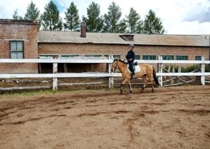 Horseback Rider tips