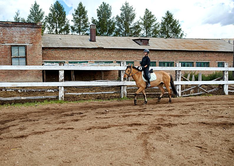 Horseback Rider tips