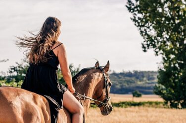 Better Horseback Rider