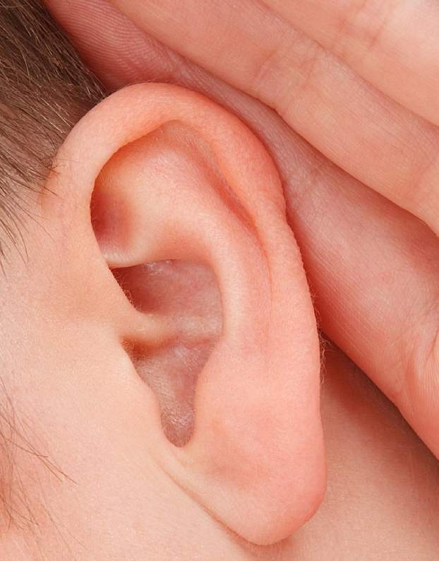 Common Ear Problems