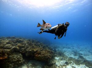 Unforgettable Trip Cozumel