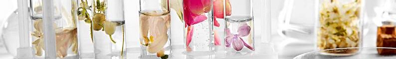 Alchemy Iconic Scents