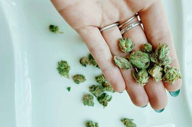 Marijuana Treatment tips