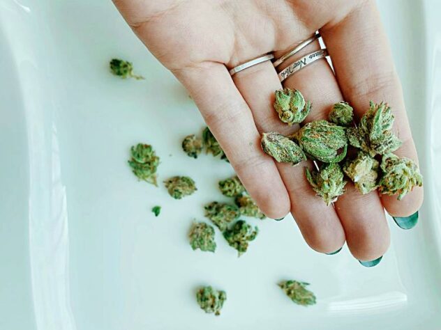 Marijuana Treatment tips